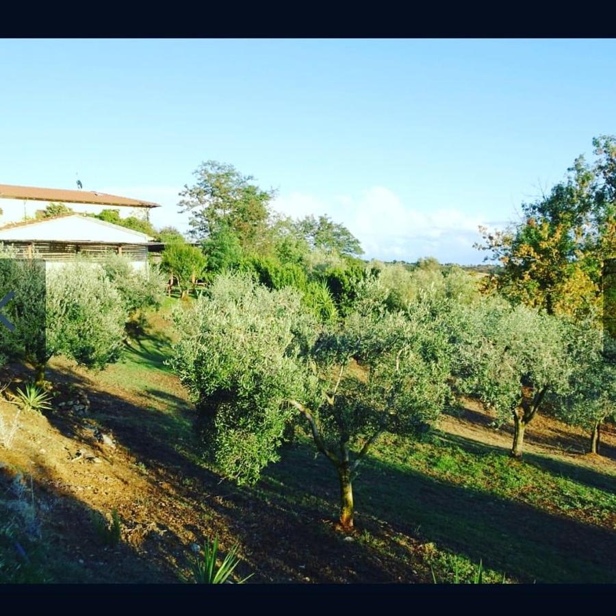 Agriturismo Colleverde Capalbio Eksteriør billede