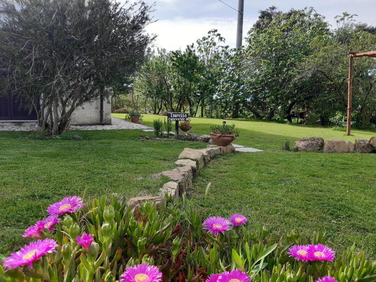 Agriturismo Colleverde Capalbio Eksteriør billede
