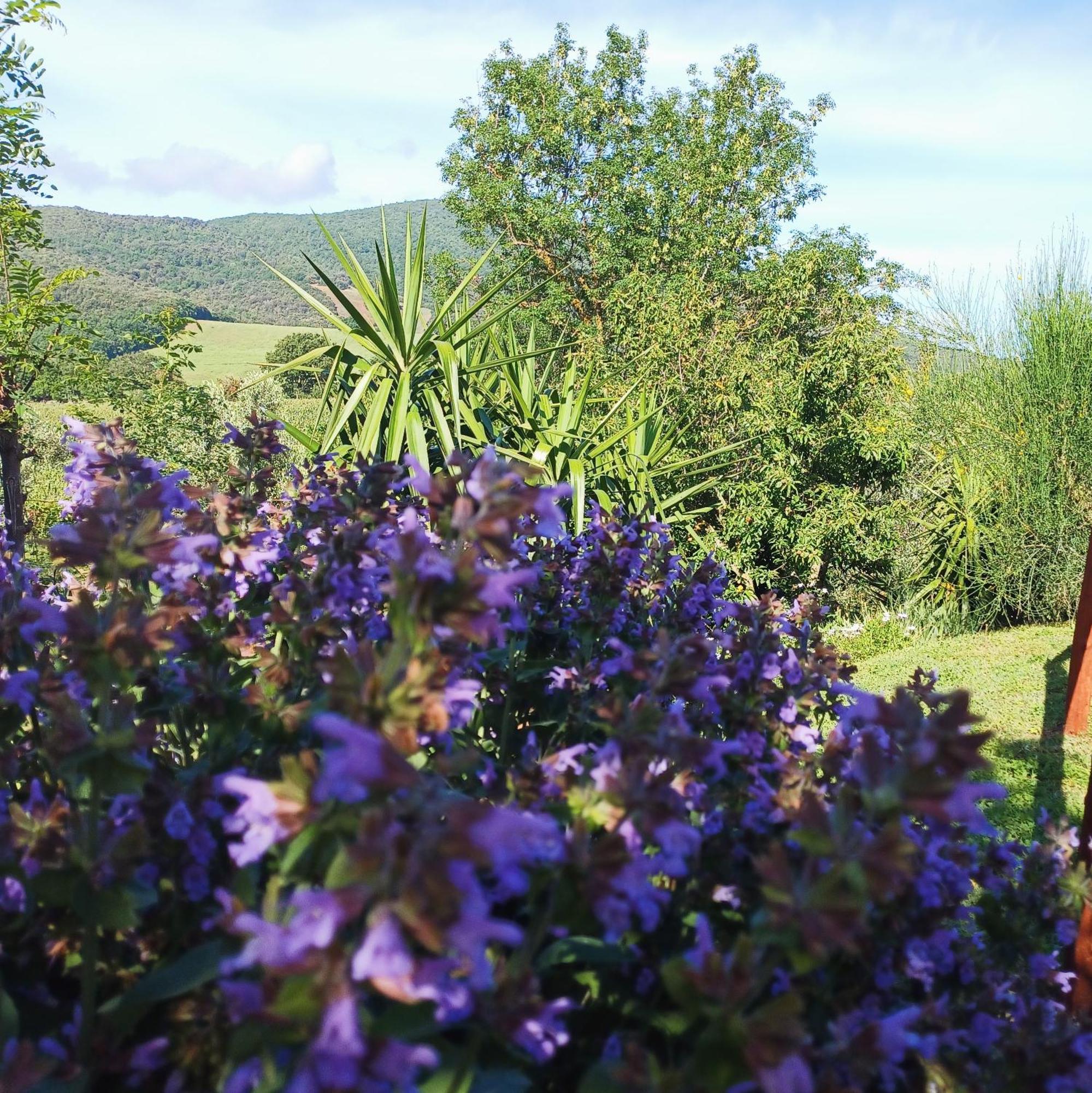Agriturismo Colleverde Capalbio Eksteriør billede