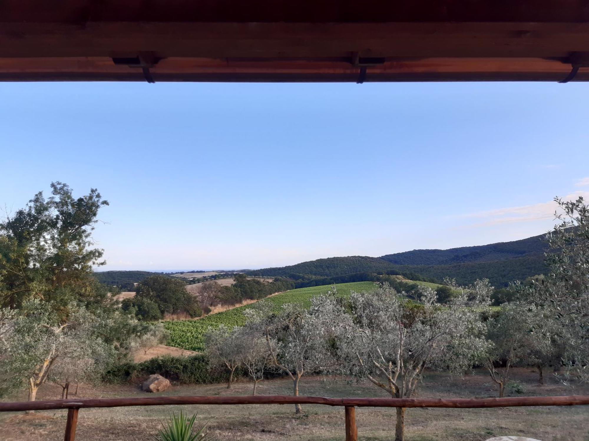 Agriturismo Colleverde Capalbio Værelse billede